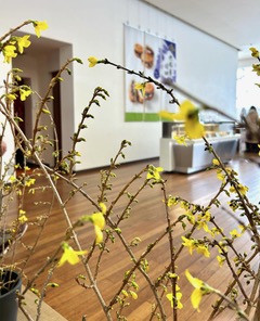 函館市五稜郭史跡の横にある六花亭の写真3