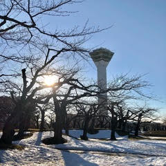 函館市五稜郭領にある五稜郭タワーの写真