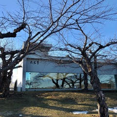 函館市五稜郭史跡の横にある六花亭の写真2