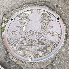 函館市ご当地マンホール蓋のデザイン発見