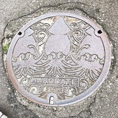 函館市のご当地マンホールの写真1