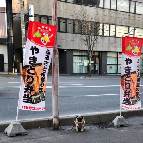 函館 民泊 大人数で泊まれる一棟貸し｜柏木町で冬も快適な宿泊