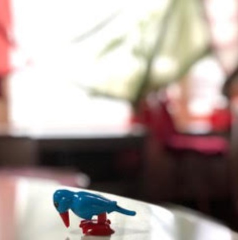 函館市西部地区にあるお土産店"いろは"で購入したキツツキの置物の写真