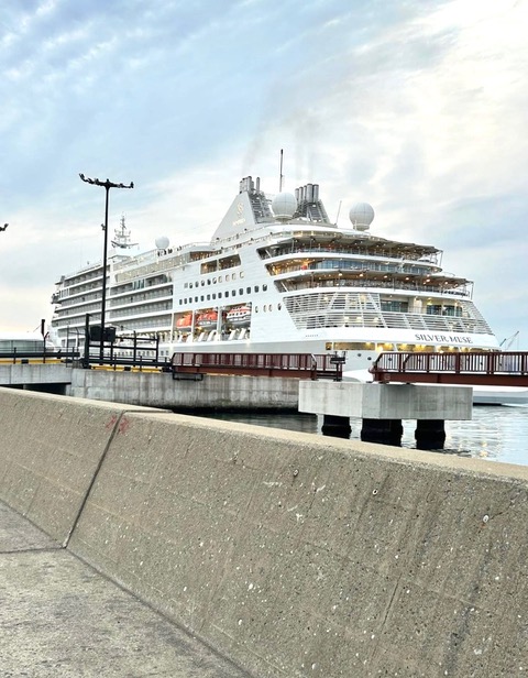 函館港に着岸した豪華客船の写真